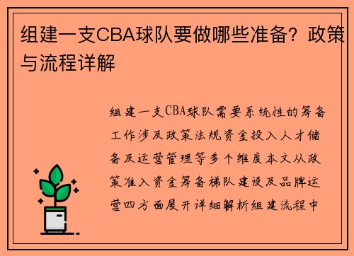 组建一支CBA球队要做哪些准备？政策与流程详解